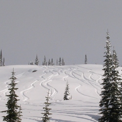 I boschi radi alla fine di un'epica discesa fuoripista in Dolomiti